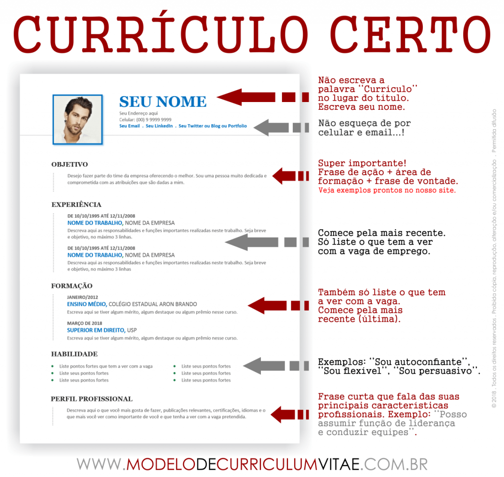 Modelo De Curriculum Vitae Pronto Para Baixar Grátis Em 2024 1700