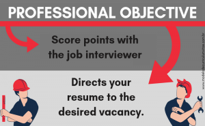 Professional Objective